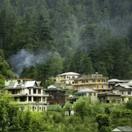 Jibhi Tour Package